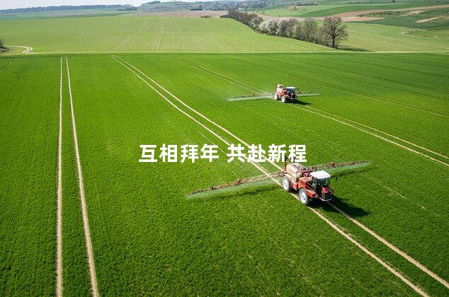 互相拜年 共赴新程